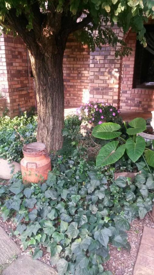 Vaal River Guest House バンダービールパーク エクステリア 写真